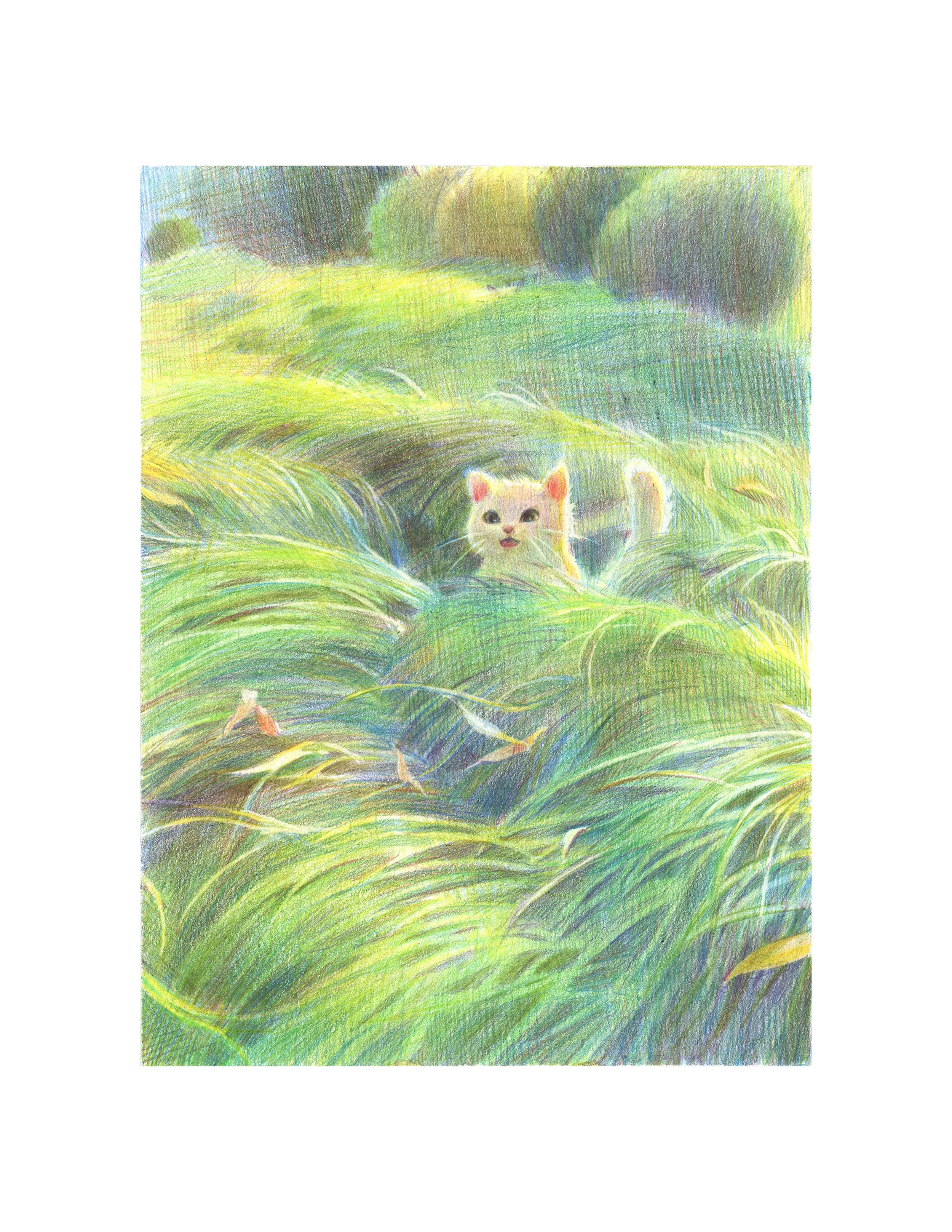 Catch Me If You Can — NIKITA CHAN ART